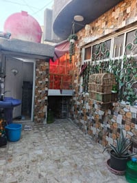 الدسيم • ١٠٠م • سطح كامل