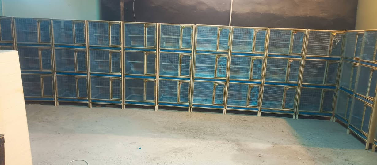 سلام عليكم خانانت حمام ام الجرار مكان بغداد الحبيبية ب ٦٠الف ***********
