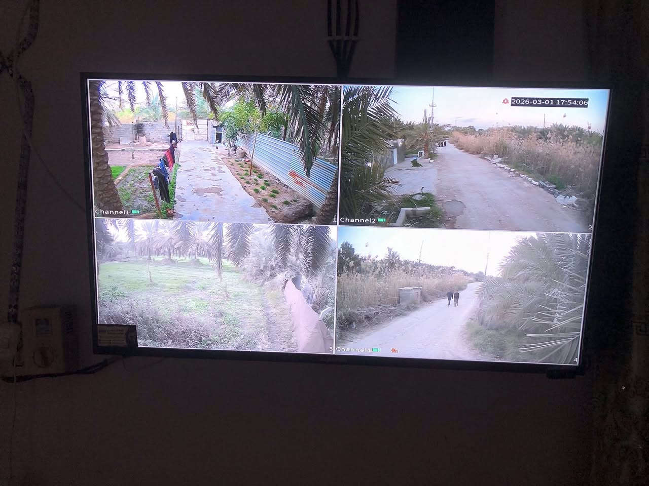 رمضان مبارك 🩵
جانب من اعمالنا في النصر قرية ابو هاون
المهني موسى الكامرات***********
فني مختص في جميع انواع الكاميرات تنصيب وصيانة جميع اعطال  الكاميرات المراقبة الانالوك والـ ip
حافظ على املاكك  مع امان متطور ✅
ذي قار _الناصرية _قضاء الرفاعي 
العمل في جميع انحاء ذي قار

 #دهوا #نضام #امان #دهوا #
