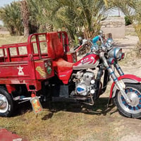 ستوته • موديل 17 • أوراق كامل