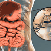 علاج جرثومة المعدة طبيعي 🌿 خلطة عسل السدر مع الأعشاب متوفرة في معشب وم...