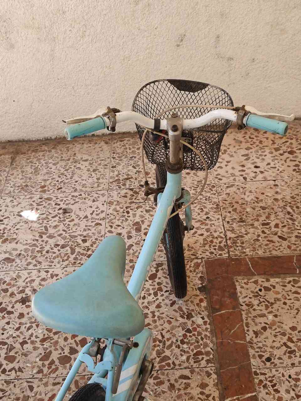 بايسكل اطفال باله ياباني السعر 50


**إذا كنت صاحب هذا الإعلان وتريد حذفه لأي سبب، رجاءا أرسل رسالة إلى الدعم الفني**