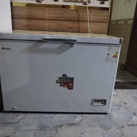 مجمدة • بلسان • نضافة فول