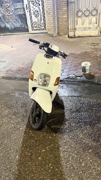 ماكس بوليسي • حلوة ناعمة • كوت الهوره