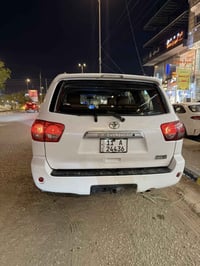 سكويا بلاتنو • قطعتين صبغ • نجف