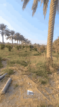 أبو غرق الأوسط • ٥ دونم • سند ٢٥