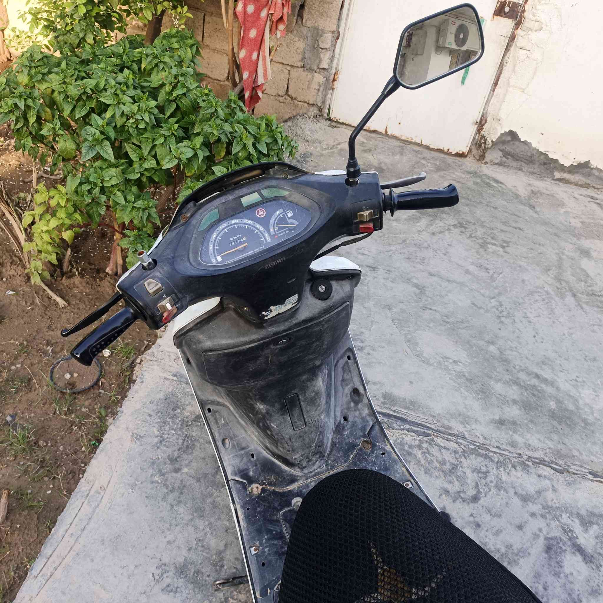 مو طور فراشه مكفولة اوراق سحب المكان ديالى شهربان650وبيهه مجال التواصل***********
