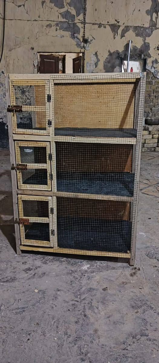 السلام عليكم متوفر قفص للبيع
الطول ١٢٧
العرض ٨٠ 
النزال ٦٠ 
السعر 30 
مكاني بابل المحاويل حي الجمهوري 
قرب جامع الامام علي 
رقم الهاتف ، ***********
