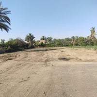 ١٢٠٠م • القمة الملكيه • مشمولة بالطابو