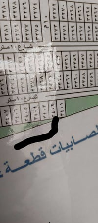 زنجيل بصف الركن • ١٠٠م • فاضل الطابو