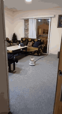 #عرض جديد من شركة الباصو العقاريه

شقه للإيجار مؤثثه في القريه اللبنانية
غرفه وصاله ومطبخ وخدمات صحيه
سعر الإيجار 300 $
للاستفسار أكثر اتصل ع *********** واتس آب متوفر
