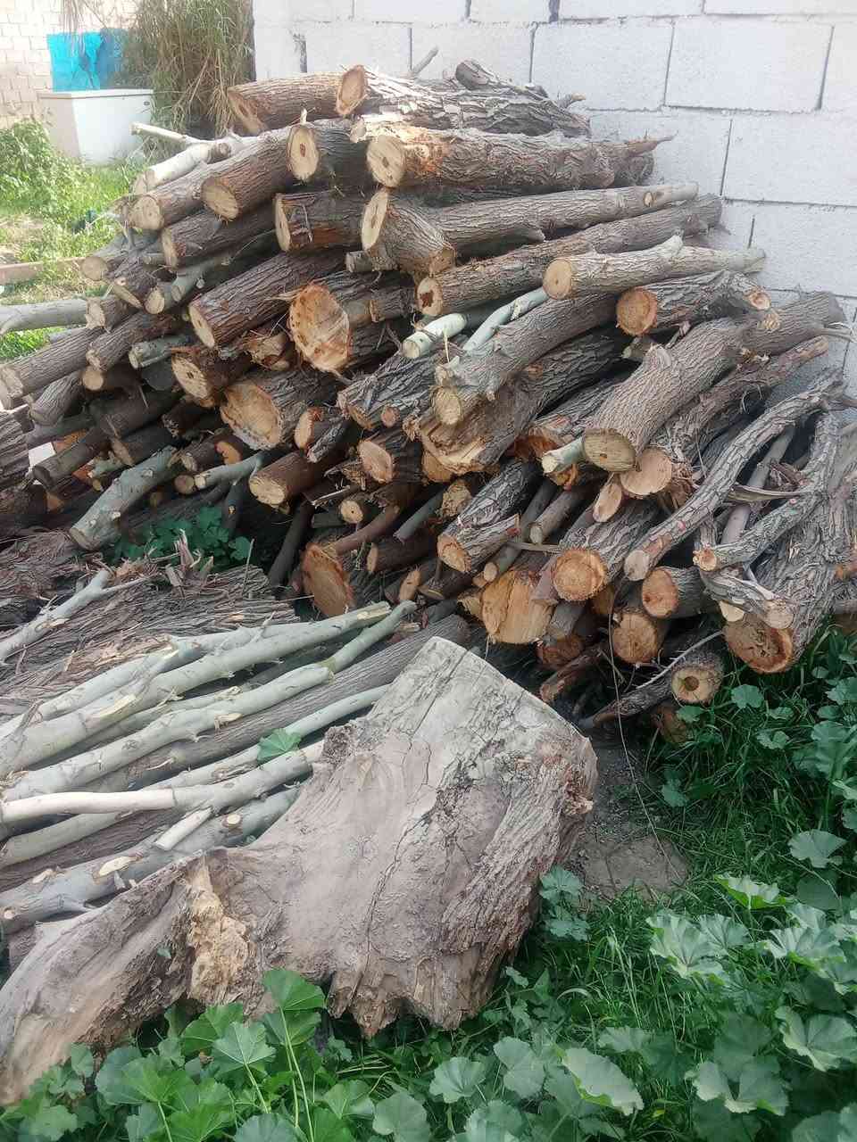 للبيع حطب نبك وكابرس وصفصاف
***********
