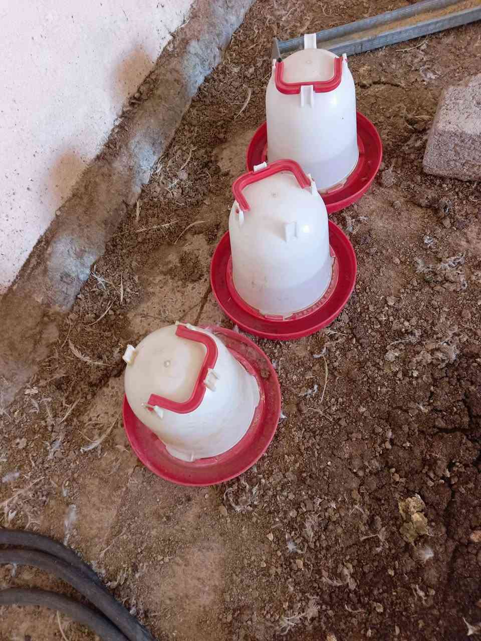 للبيع 400 الف


**إذا كنت صاحب هذا الإعلان وتريد حذفه لأي سبب، رجاءا أرسل رسالة إلى الدعم الفني**