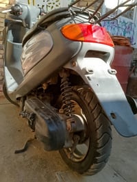 درجه منغولي ام سله البيع السعرخاص وتصل07872816775