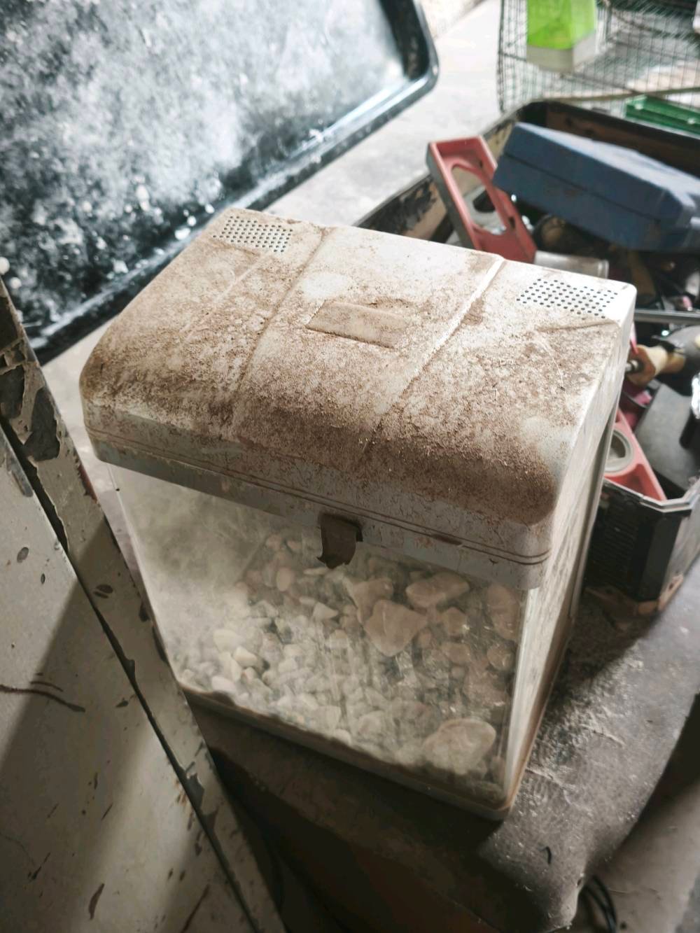 حوض سمك السعر 40الف بيه مجال لا يوجد توصيل نضيف يرادله غسل وياه حصو كامل مكان كركوك