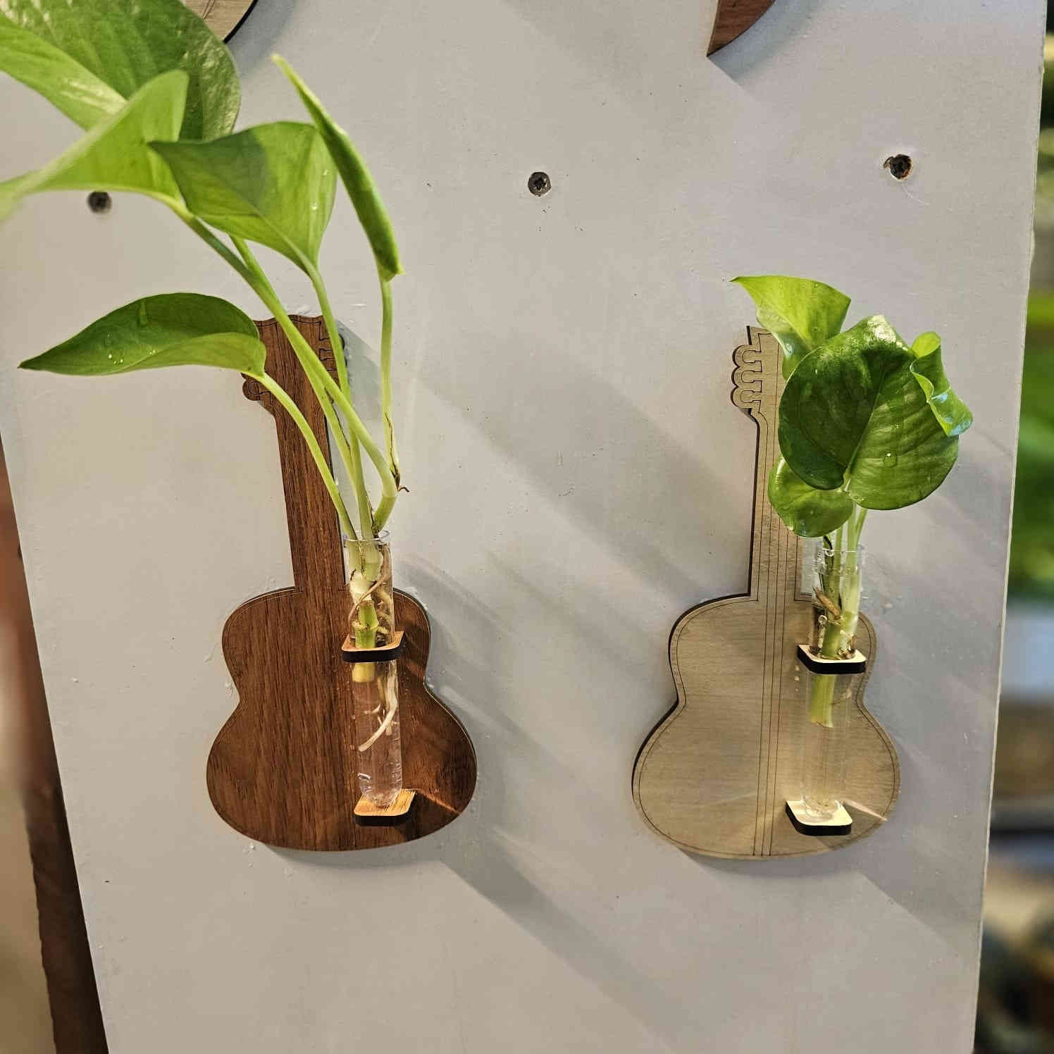 أضف لمسة حياة وأناقة لمنزلك مع ديكور نباتات للتجذير 🌱
تصاميم عصرية، جودة عالية، وأسعار تناسب الجميع!
القطعة بـ 3 آلاف | قطعتين بـ 5 آلاف | 5 قطع بـ 10 آلاف
جملة ومفرد متوفرة
🚚 توصيل لكل العراق

📍 العنوان: مشتـل باشا، كركوك – رحيم أوه
📞 للطلب والاستفسار: ***********
