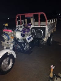 ستوته • 2019 • اوراق اصولي