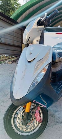 ماكس عدلة • كفر • رصاصي