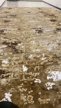 كاربت • ٨×٥م