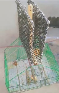 قفص • کەلار