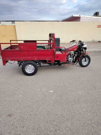 ستوته • نضيفه • مكفوله