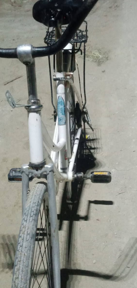 سلام عليكم  باسكن لبيع سعر 60 حجم 26 مكان رميثه وشراء خاص


**إذا كنت صاحب هذا الإعلان وتريد حذفه لأي سبب، رجاءا أرسل رسالة إلى الدعم الفني**