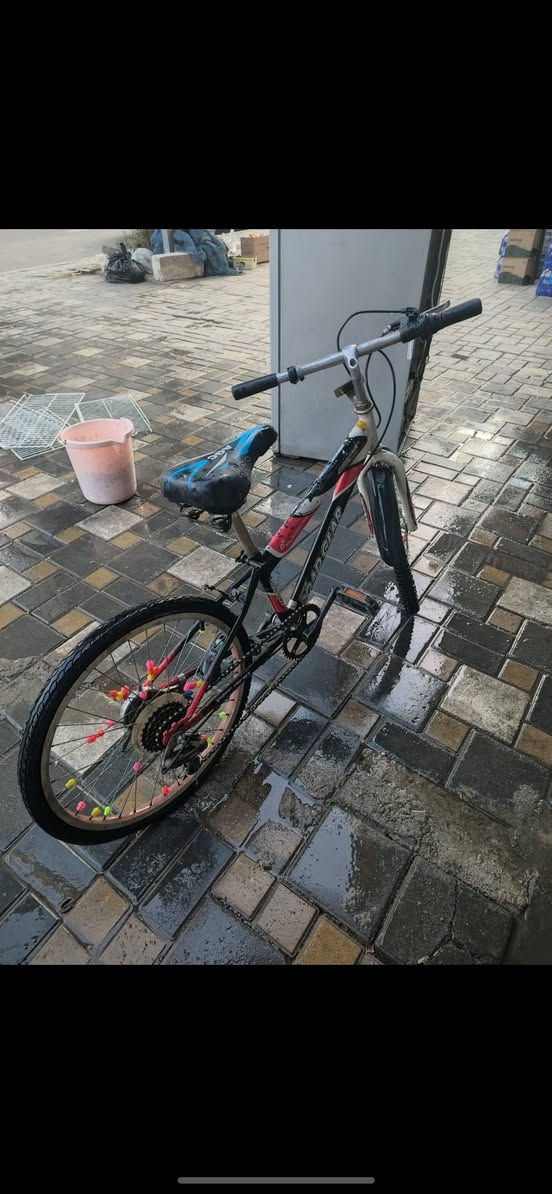 ب 70 وبي مجال


**إذا كنت صاحب هذا الإعلان وتريد حذفه لأي سبب، رجاءا أرسل رسالة إلى الدعم الفني**