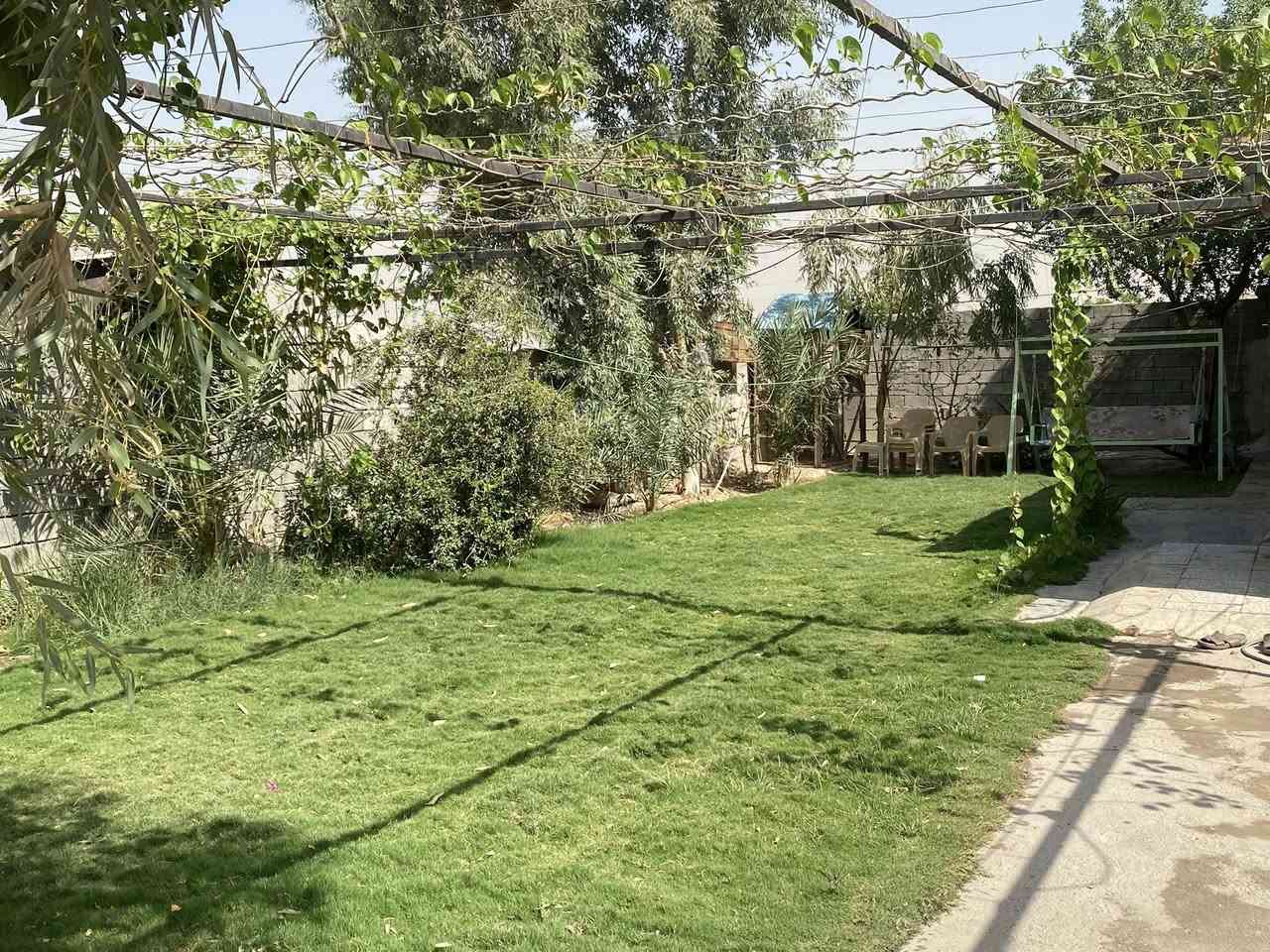 السلام عليكم
اخوان.

< دار للبيع غرفتين ومطبخ وصحيات >

< مساحة الكلية ( 266 متر ) طابو زراعي سند 25 > 

< منطقة الولداية الثانية قرب السده > 

< للستفسار اكثر الاتصال على هذا الرقم >

 (*********** )
