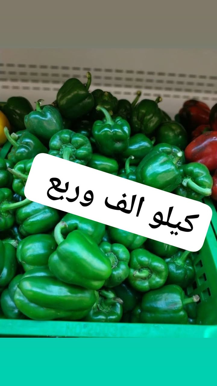 الحجز السريع واتساب
https://wa.me/message/FMWUU2LLYDIZN1
***********

الشطره شعله__ متوفر توصيل 
متواجدين من 2 الضهر الئ 5 صباحا
نستقبل طلباتكم بكل حب
