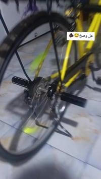 باسكل • ٢٠٢٣ • قديم