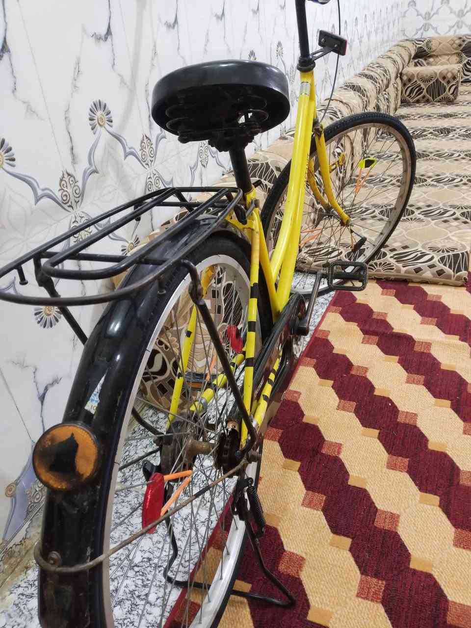 باسكل 21
.. نضيف اي نقص ما بي 

مكفول  وغراض كامله 
شراي دش خاص وبيك خير وتدلل  
 محافظة #ذي_قار
قضاء الفهود


**إذا كنت صاحب هذا الإعلان وتريد حذفه لأي سبب، رجاءا أرسل رسالة إلى الدعم الفني**