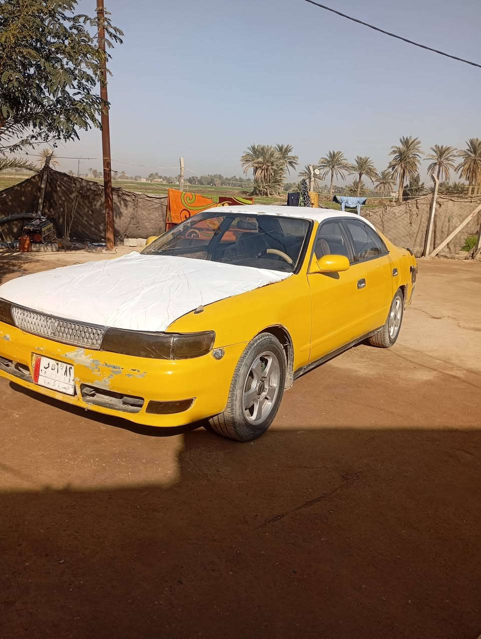 شيزر للبيع موديل 2000 راعيه مااندله سنويه عظم عاج سعره 25 العنوان النجف الاشرف الكوفه الاستفسار الاتصال على رقم ***********
