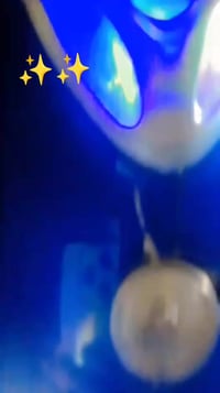 دراجة • سعر خاص • قلعة سكر