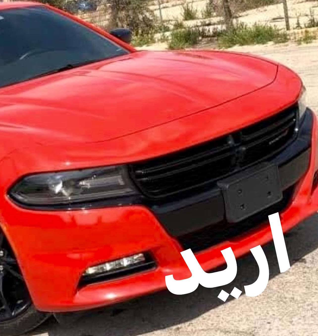 سلام وعليكم عندي دعاميات خلفي امامي وبنيد ودوسات مال SRT ايد مراوس بعاديات مال 23


**إذا كنت صاحب هذا الإعلان وتريد حذفه لأي سبب، رجاءا أرسل رسالة إلى الدعم الفني**