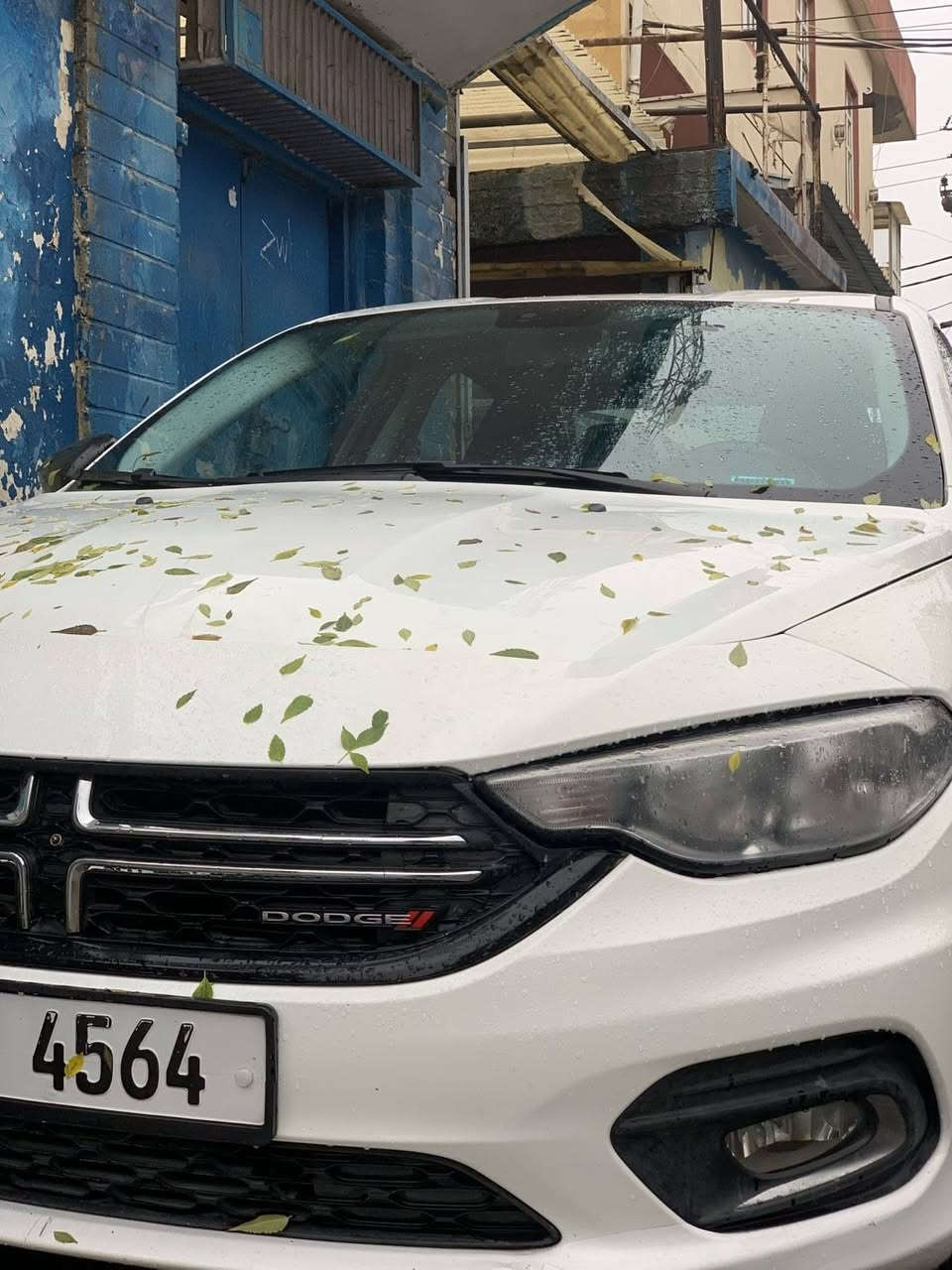 (Dodge Neon) أبيض - للبيع 🚗✨
سيارة قوية، ممتعة واقتصادية جداً بالوقود للاستخدام اليومي.
المواصفات والمعلومات:
الموديل: ٢٠١٧
اللون: أبيض
المسافة المقطوعة: ١٤٥ ألف كيلومتر 🛣️
الكير والمحرك: بشرط الفحص وبدون أي مشاكل
الصدر والحدادية والشناصي: بشرط الفحص، سيارة متماسكة جداً
تفاصيل البودي والتبريد (لأمانة البيع):
الصبغ: فقط الجاملغ جهة السائق مصبوغ.
البونيد: بيه طختين (قرتين) صغار وما مصلحة (باقية على وضعها).
التبريد: نقص كومبريسر (تحتاج شراء كومبريسر).
السيارة نظيفة وما تحتاج أي مصاريف ثانية، وكل التفاصيل مكتوبة بوضوح للأمانة.
السعر: ٨٢ ورقة وبيه مجال (معاملة) 💵
الموقع: السليمانية 📍
للاتصال والاستفسار: *********** 📞
