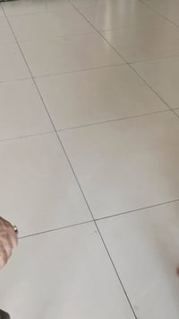 تطبيك • درجة اولى