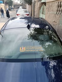 ٢٠١٨ • صبغ فقط • حبيبيه