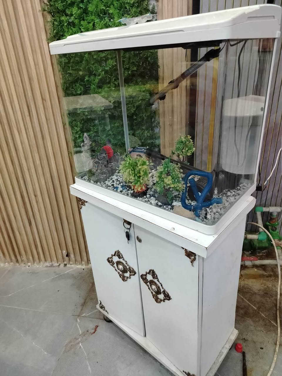 ‎للبيع حوض سمك كامل مع الميز + كاونتر وعارضه + جهاز صلصات للاستفسار خاص‎ عمارة, ميسان


**إذا كنت صاحب هذا الإعلان وتريد حذفه لأي سبب، رجاءا أرسل رسالة إلى الدعم الفني**