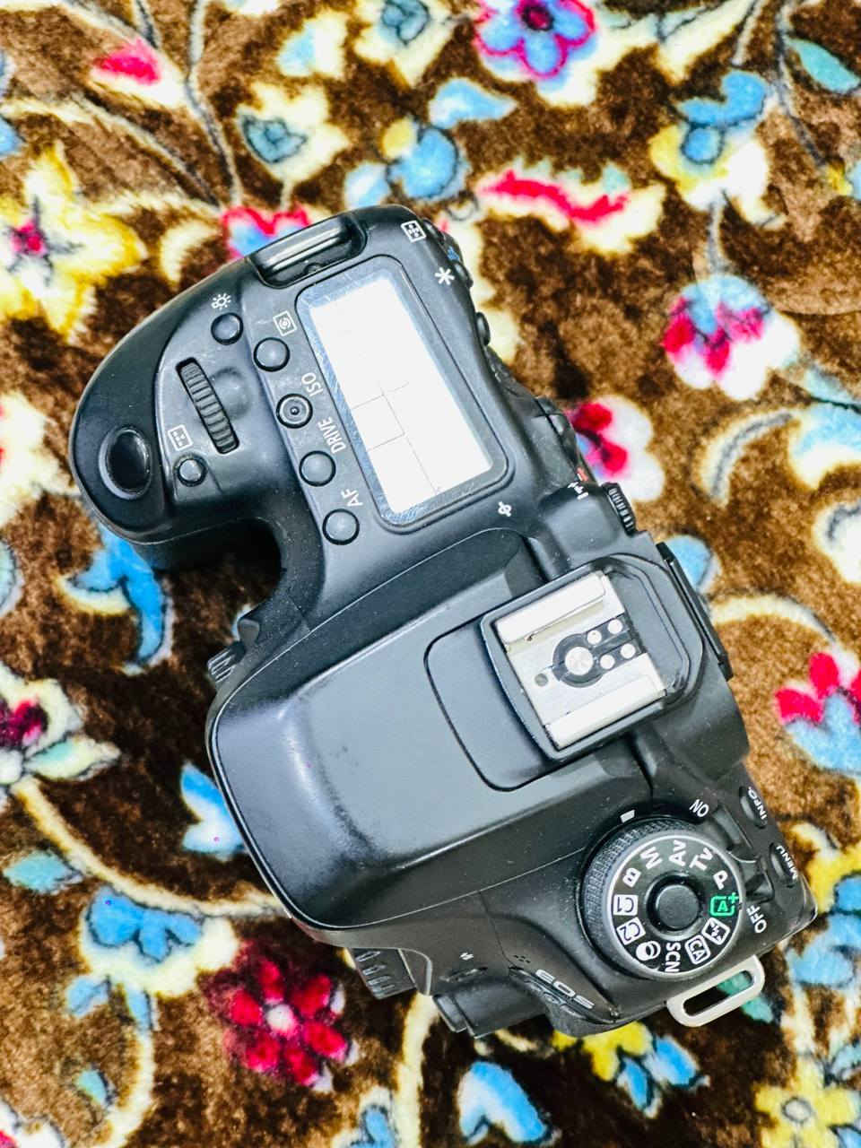 كانون 80d  شبه جديده
شتره 10k  او عدسه رياضيه 75-300
دقته 24.2
 تصوير فيديو full HD 60fbc 
وياه كارتون وشاحن وبطارية 
السعر خاص 
واتساب ***********
@إشارة
