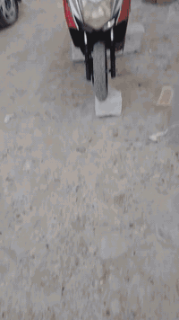 دراجه شحن نوع سكنس.                                                      5باتريات.                                                                            دراجه عطلان عقل.                                                                      سعر 400بيهه مجال اي استفسار راسلني على الخاص.              رقم ***********. مكاني الحسينيه.                                وعيد وكرر دراجه عطلانه
