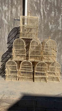 اقفاص بلابل • ديالى بلدروز • للبيع