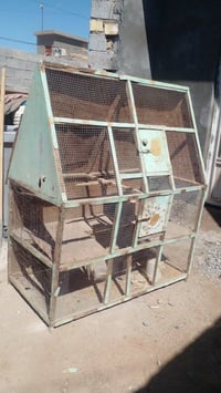 قفص طيور الحب • ترتيب بسيط • توصيل مجاني