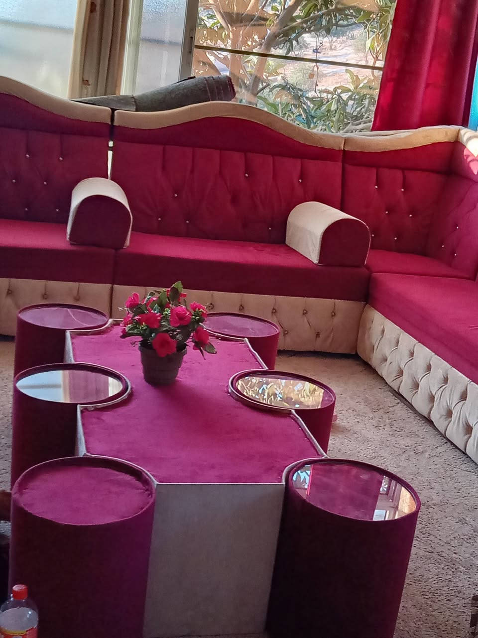 كورنل مكون من 14 مقعد بحال الوكاله 250 مع الطوايل للتواصل 0772426834


**إذا كنت صاحب هذا الإعلان وتريد حذفه لأي سبب، رجاءا أرسل رسالة إلى الدعم الفني**