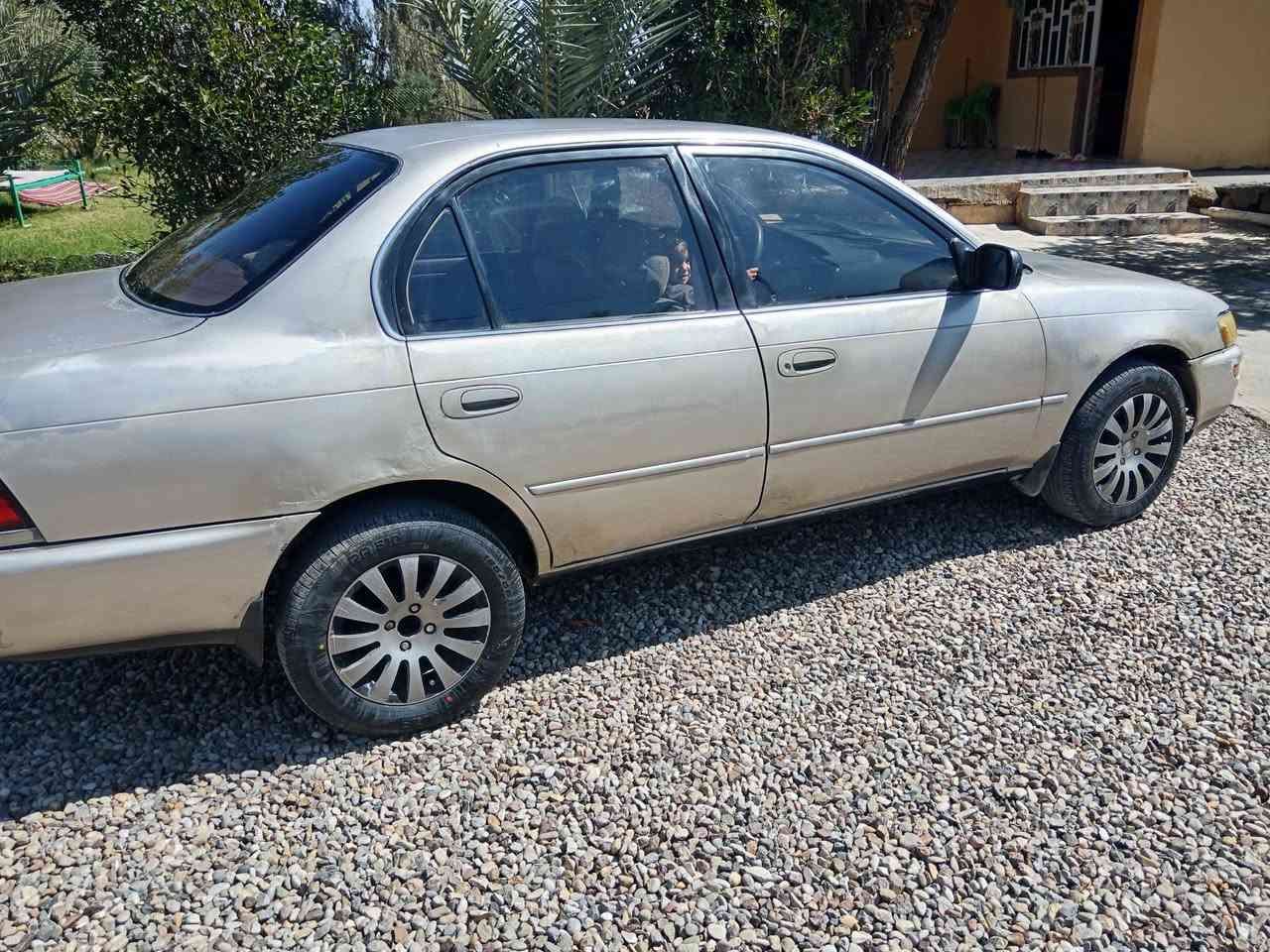 السلام عليكم. كورلا ٩٢ رقم انبارانكليزي مشروع وطني سنويه لل٣٠كيرمحرك صدر كله تمام سياره بيهه جراد وصبغ اثرشخوط بدون دواخل. سعر٤٧ بيهه مجال مكانهه ديالى المقداديه موبايل ***********
