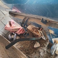 من رخصت ابو الكروب باذره للبيع 07832833847