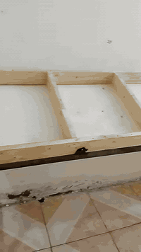 ميوزه مال مخضر للبيع كلهن ب300 وبيهن مجال 07828856118