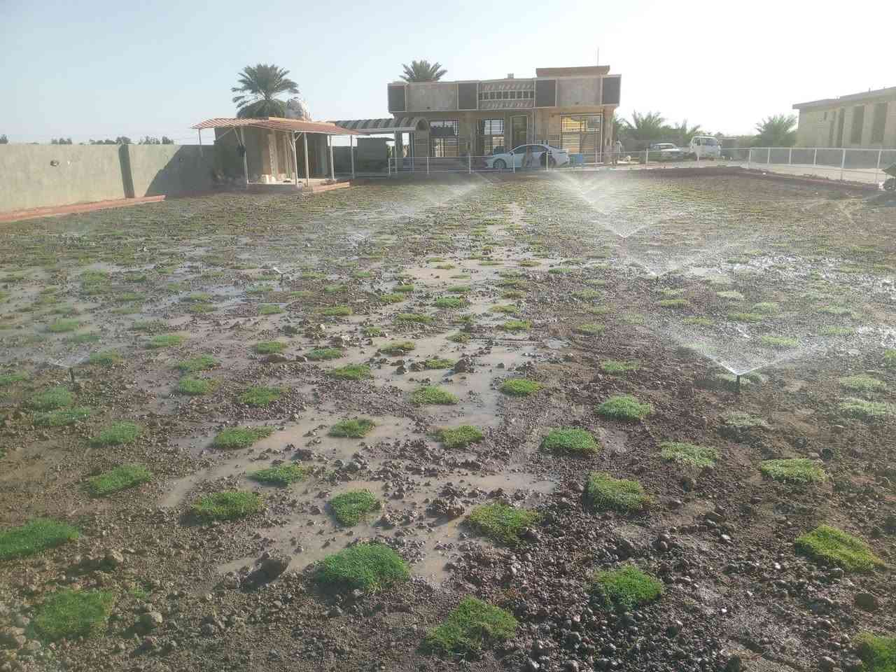 عمل ديكورات حدائق باسعار مناسبه استفسار على رقم ***********
