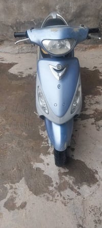 ماكس منغولي • أصلية • أبو غرق