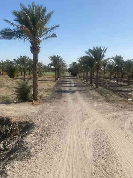 بيع سريع 4 دوانم سند 25 تحويل مباشر 
سبع البور البصام مقابيل مجمعات سكنيه 
علشارع التبليط مباشراً 
سعر الدونم 105 وبي مجال بسيط!
*********** واتساب او تصال اني بلخدمه
