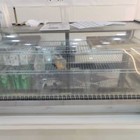 براد كيك للبيع استعمال شهر السعر ٨٠٠ الف  ٠٧٨٢٥٨٨٩٥٩٩ واتس اب